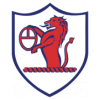 https://img.qxyssrq.com/img/football/team/11fb72f7b5eacfc881ee11bac75871fa.png