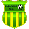 https://img.qxyssrq.com/img/football/team/3dfa700c1f084e5a18fc926d6f7ae427.png