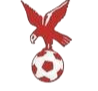 https://img.qxyssrq.com/img/football/team/4802d26df935b78bb2fcdbbff36e8864.png