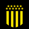 https://img.qxyssrq.com/img/football/team/68b4fd9f62681acaf82ffd68ad2f51f2.png